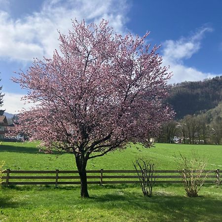 Open Garden Mountain Lodge Oberaudorf Luaran gambar