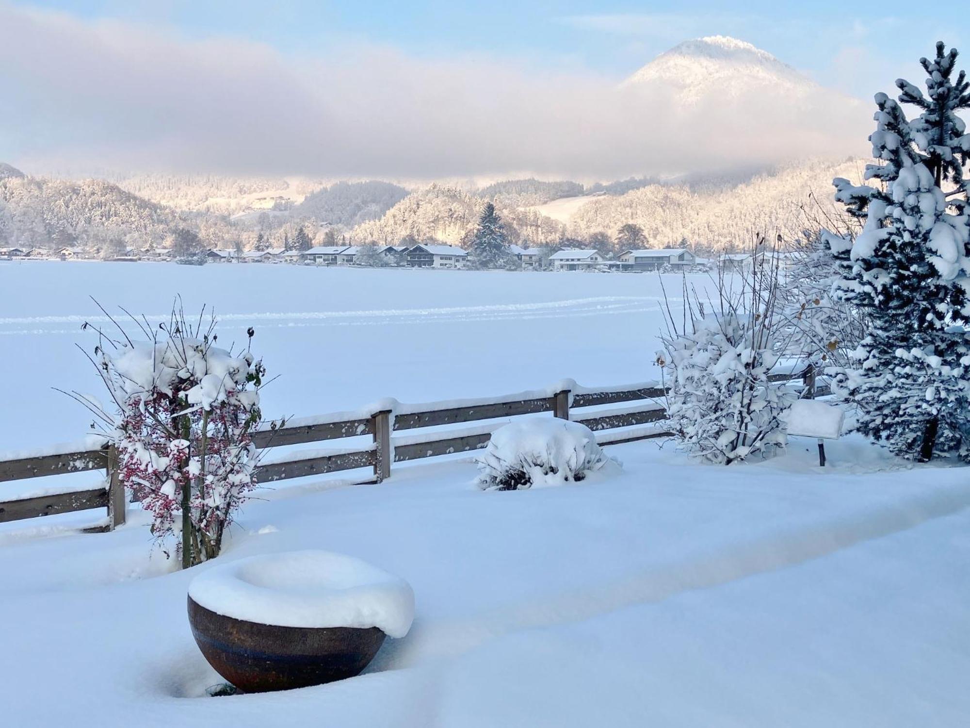 Open Garden Mountain Lodge Oberaudorf Luaran gambar