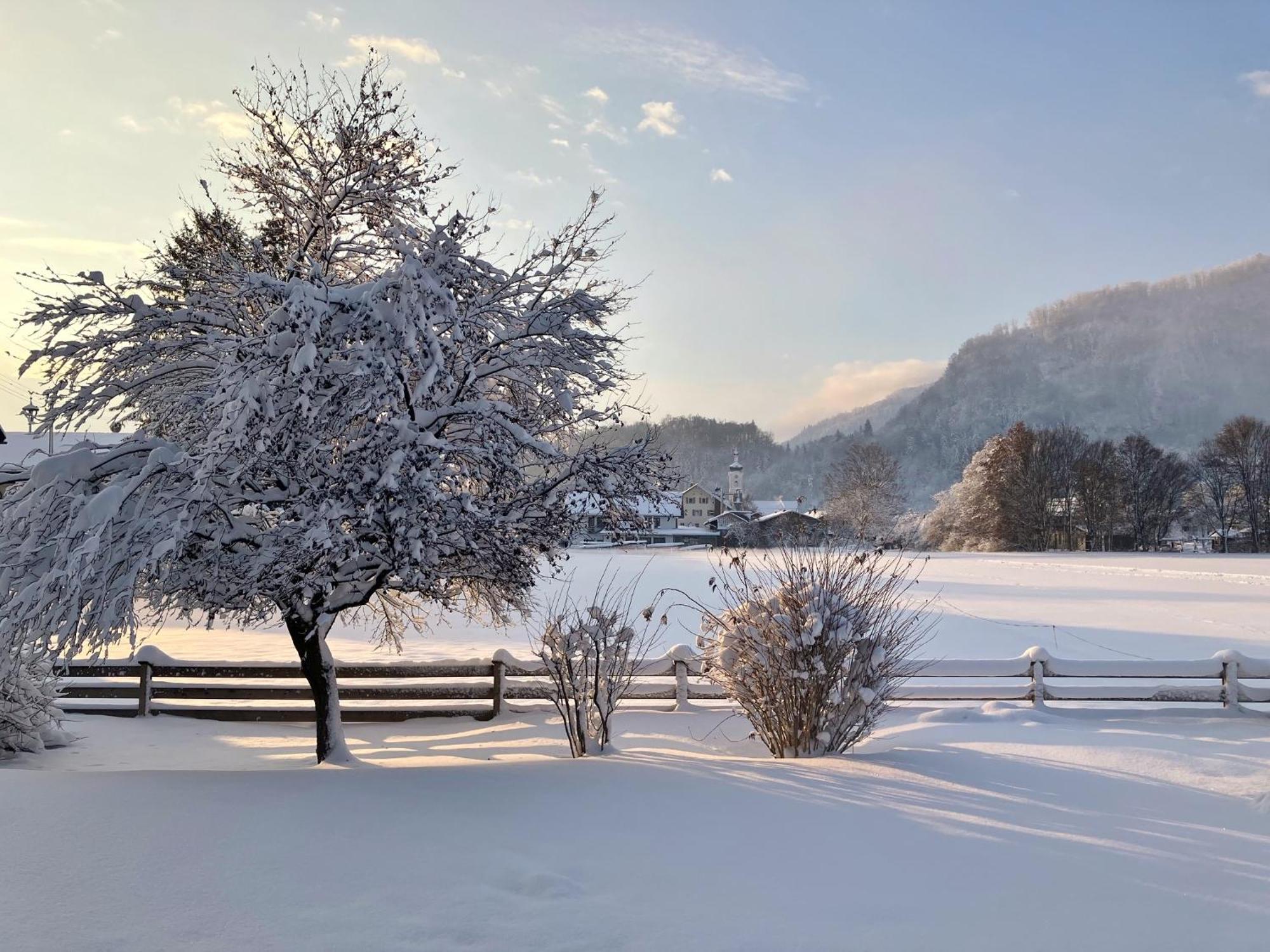 Open Garden Mountain Lodge Oberaudorf Luaran gambar