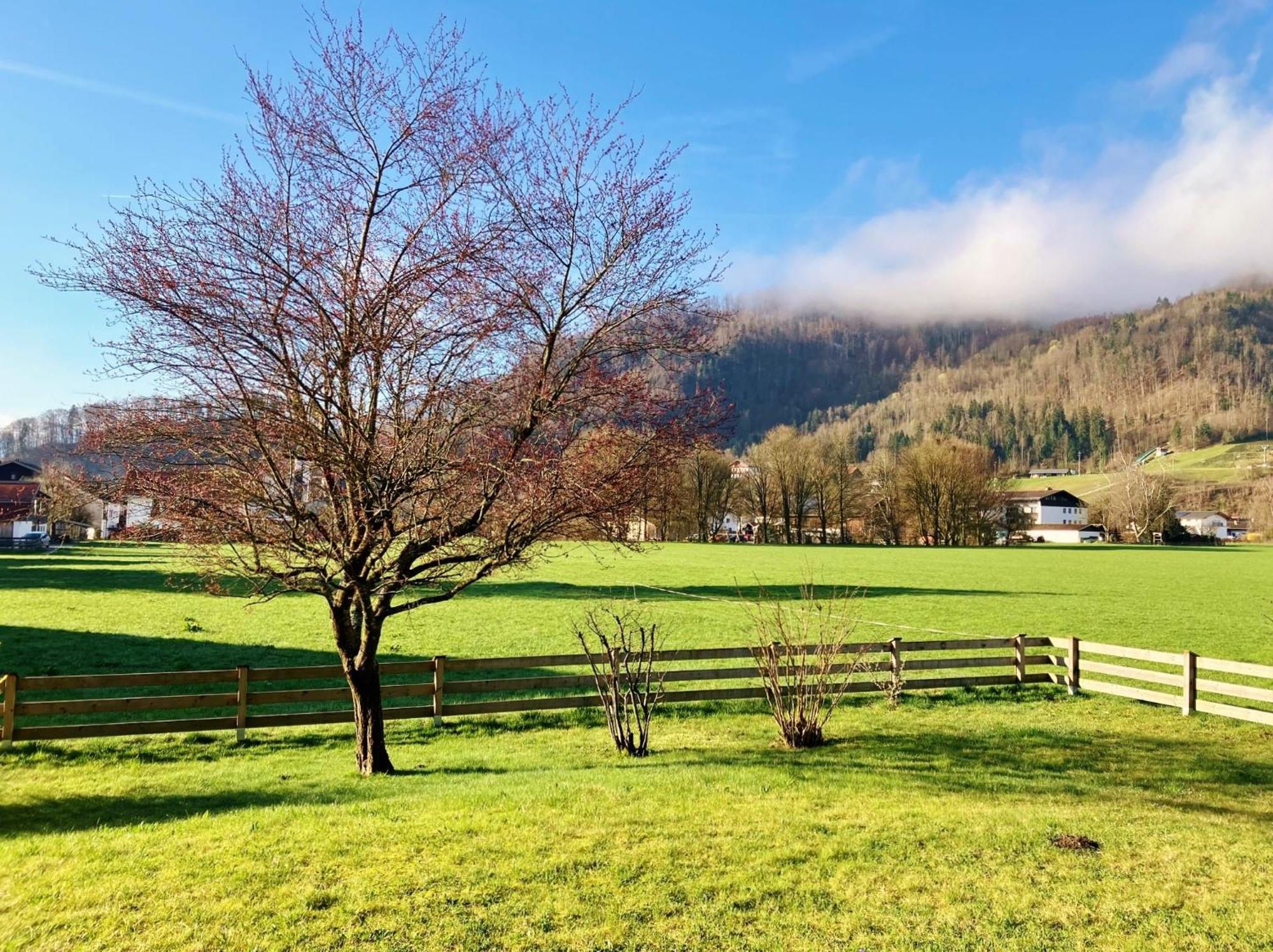 Open Garden Mountain Lodge Oberaudorf Luaran gambar
