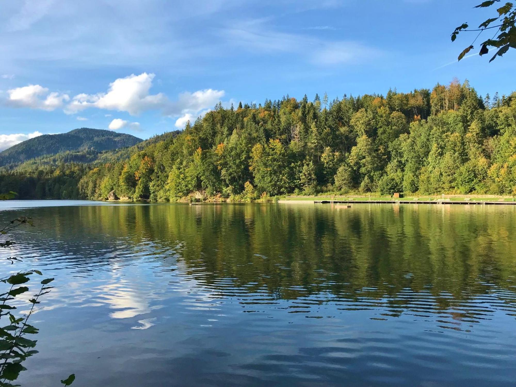 Open Garden Mountain Lodge Oberaudorf Luaran gambar